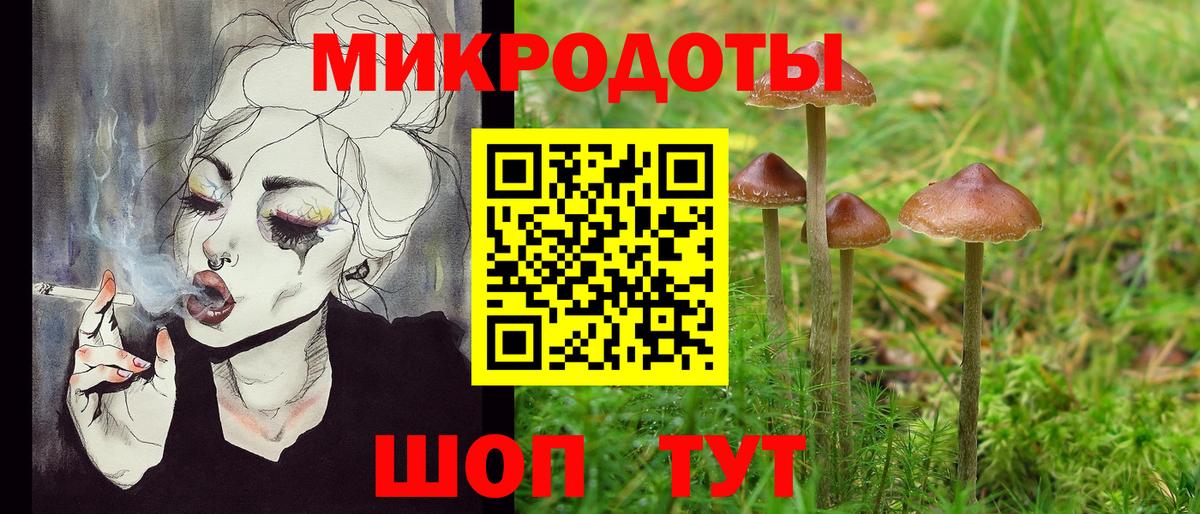 Псилоцибиновые грибы прущие грибы Бор