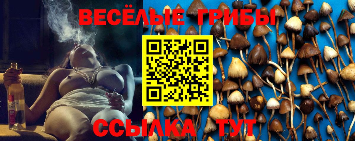 Галлюциногенные грибы Psilocybine cubensis  Галлюциногенные грибы Cubensis  Вход с VPN  Бор 